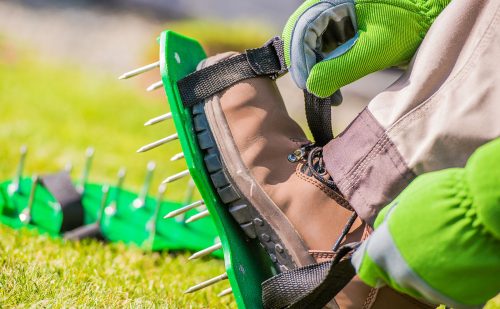 A Comprehensive Guide for Lawn Aeration