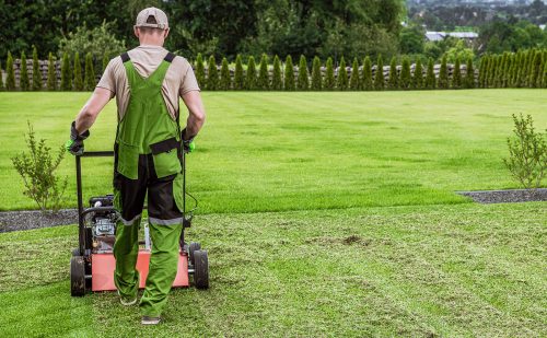 The Art of Dethatching: Ensuring Healthy Lawns
