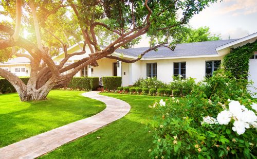 Caring for Lawn Health and Growth